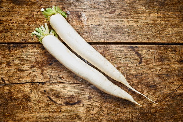 Rettich